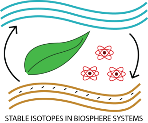 Our Original SIBS Logo